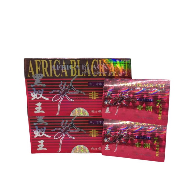 Africa black ant