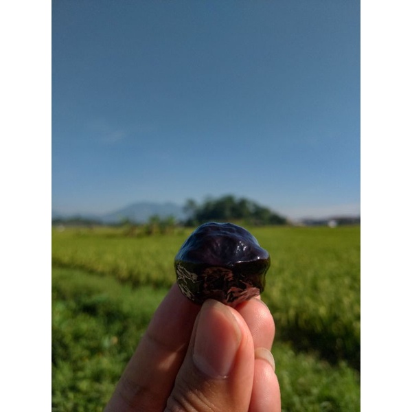 Muncang pedang super.