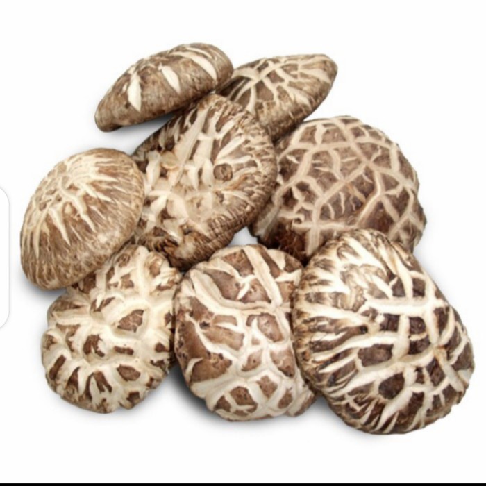 

Jamur Shitake Kering/ Dried Shitake Mushroom Premium 100 gr