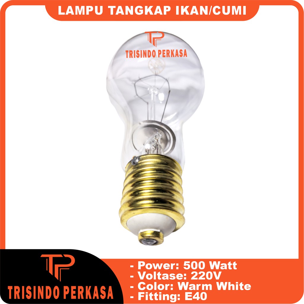 Lampu Tangkap Cumi / ikan Fishing Lamp 500W 220V