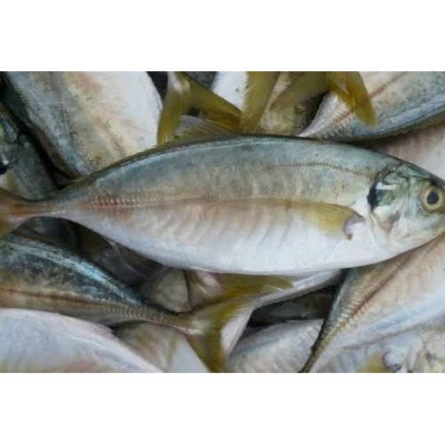 

Ikan Kembung 1/2 KG