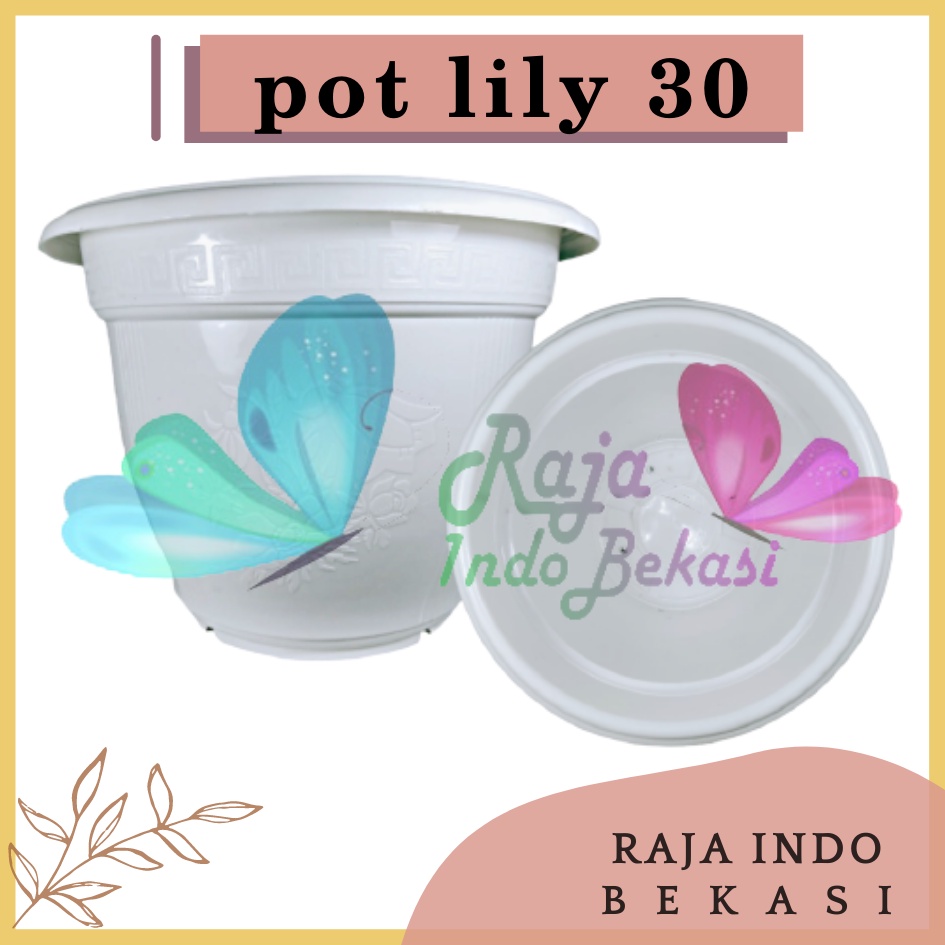 Pot Bunga Lily 30 Putih Pot Lili Tanaman Aglonema Murah Grosir Pot Lidah Mertua Vas Bunga Plastik