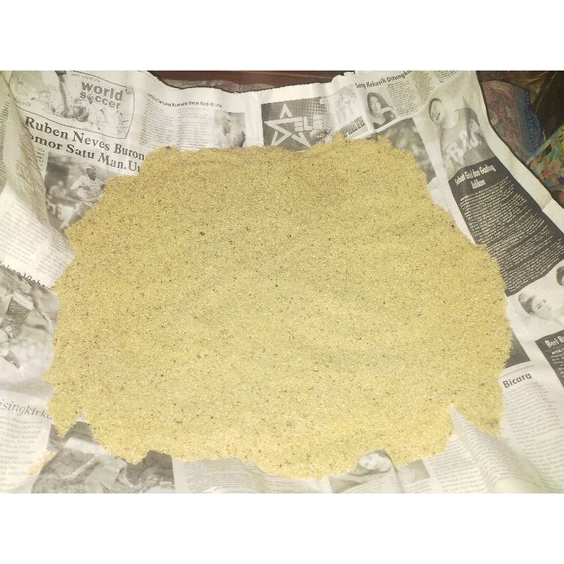 telur jangkrik madu kuning