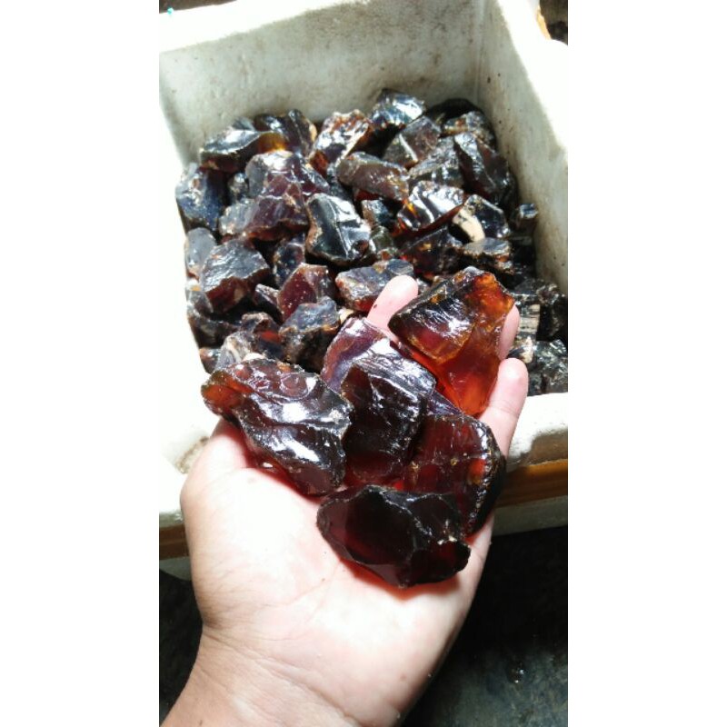 getah katilayu