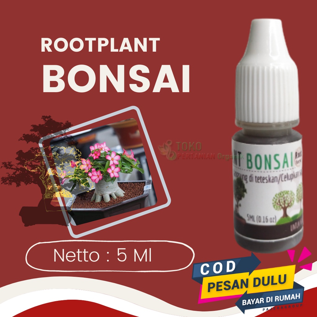 Pupuk bonsai kemboja adenium agar subur, Hormon bonsai serut serut cepat tumbuh