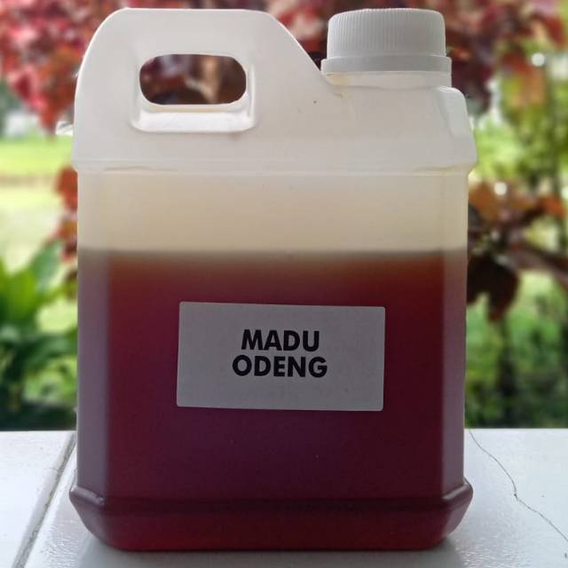 

[BEST] MADU ODENG MENTAH ALAMI || MADU LEBAH LIAR DARI HUTAN GARUT || 1000gr