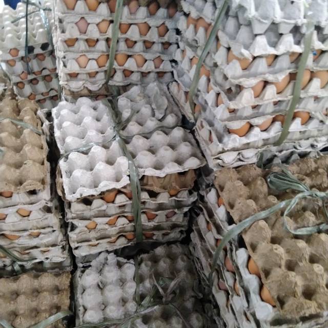 

Telur ayam