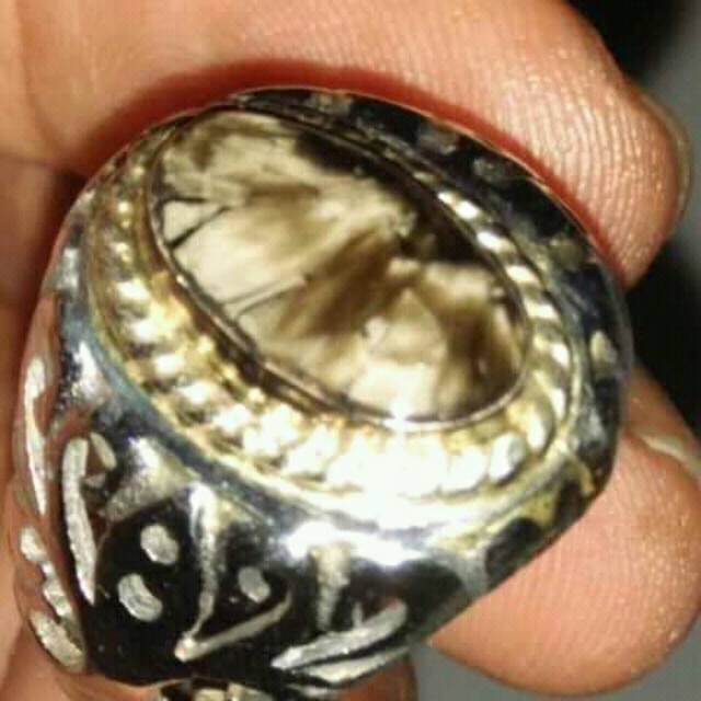 Natural bulu macan lumajang ( BML )