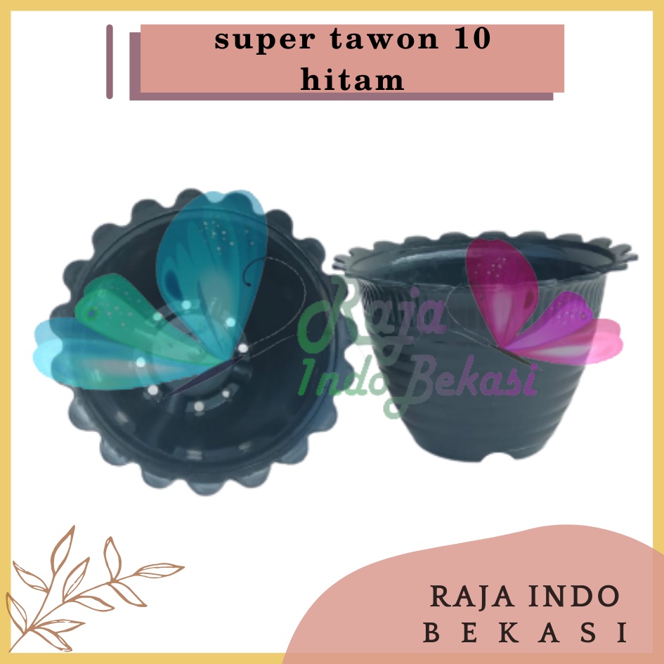 Pot Super Tawon 10 Cm Hitam By Garden Of Love Bkn Pot Tawon 10cm Lusinan Tirus Jet Putih Hitam