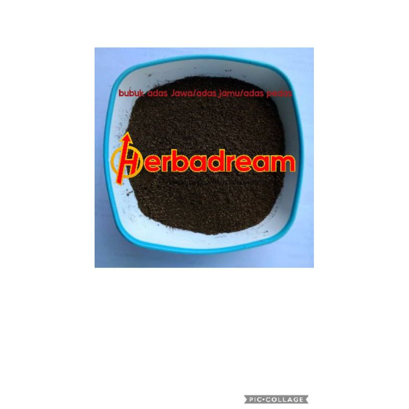 

100 GRAM BUBUK ADAS JAWA JAMU IJO PEDAS FOENICULUM VULGARE MILL FENNEL SEED HSIAO HUI POWDER SERBUK TEPUNG