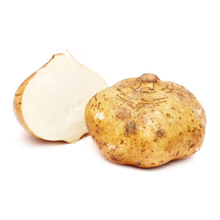

KIRIM INSTAN BUAH BENGKOANG / BENGKUANG SUPER SEGAR (BUAH CURAH)