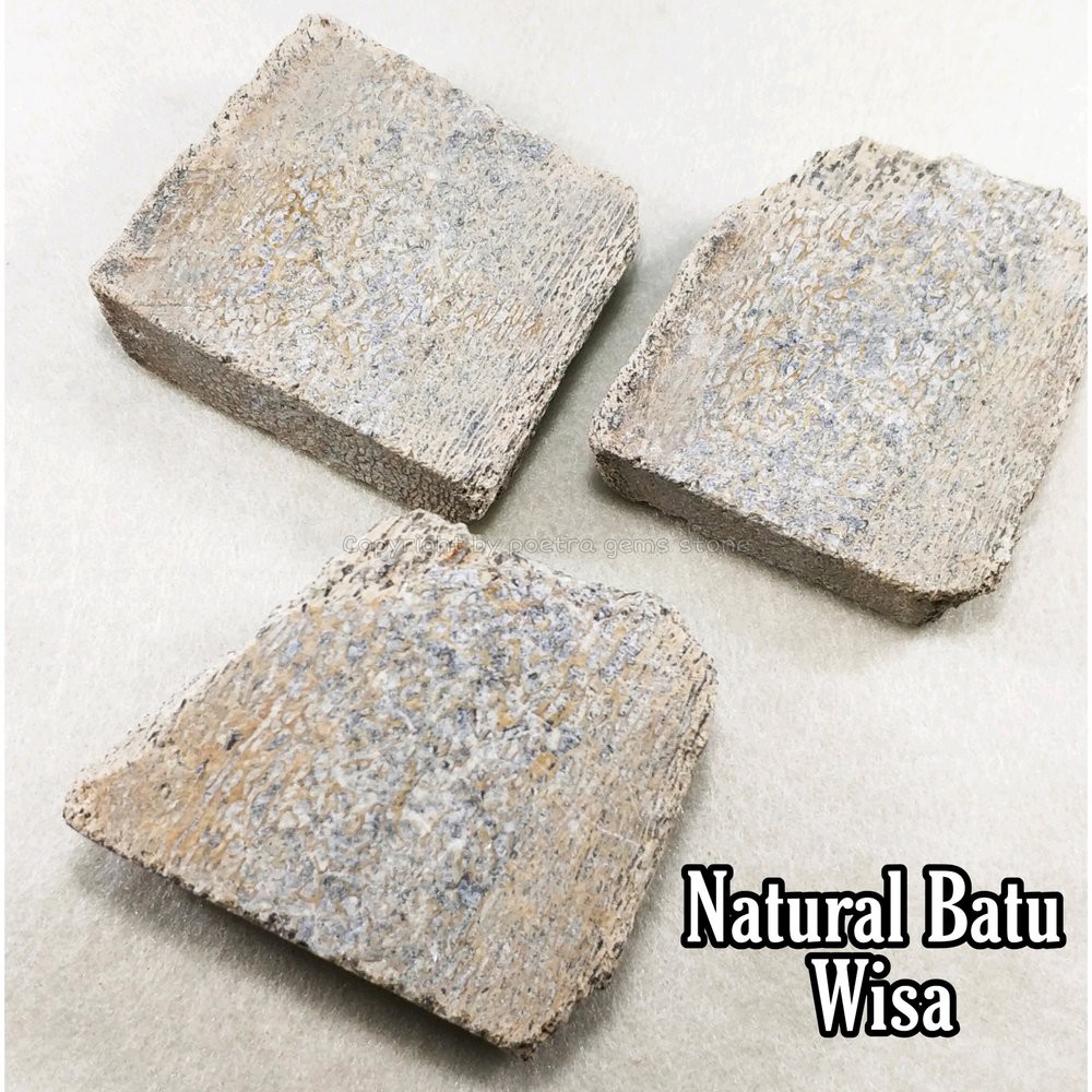 Bahan Natural Batu Wisa Bisa Serap Racun Dijamin Murah