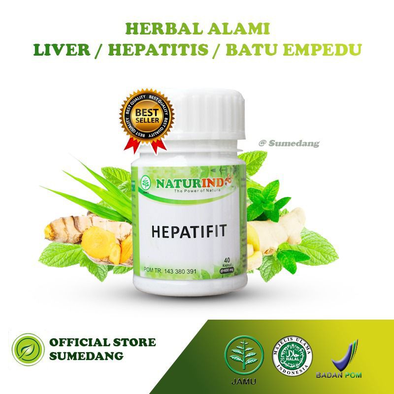 HEPATIFIT obat batu empedu memperbaiki organ hati dan liver dan kanker hati