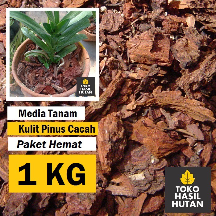 Kulit Pinus  1 Kg Media Tanam Kulit Pinus  Cacah Toko 