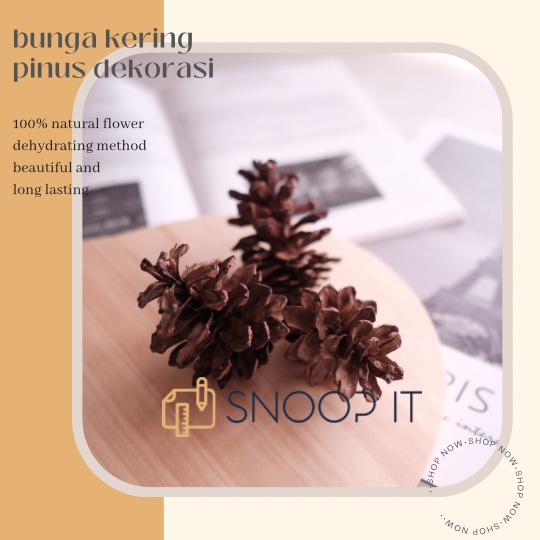 dried flower bunga kering pinus pine cone hiasan dekorasi christmas natal kerajinan tangan terranium properti foto