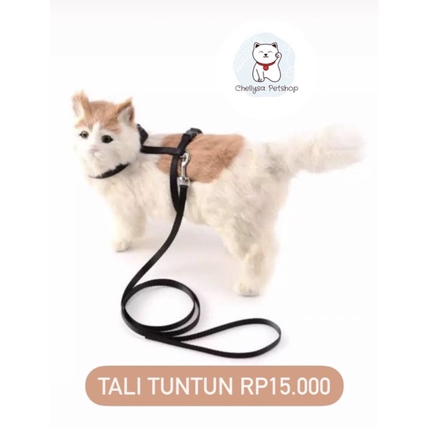 HARNESS TALI TUNTUN KUCING JALAN-JALAN