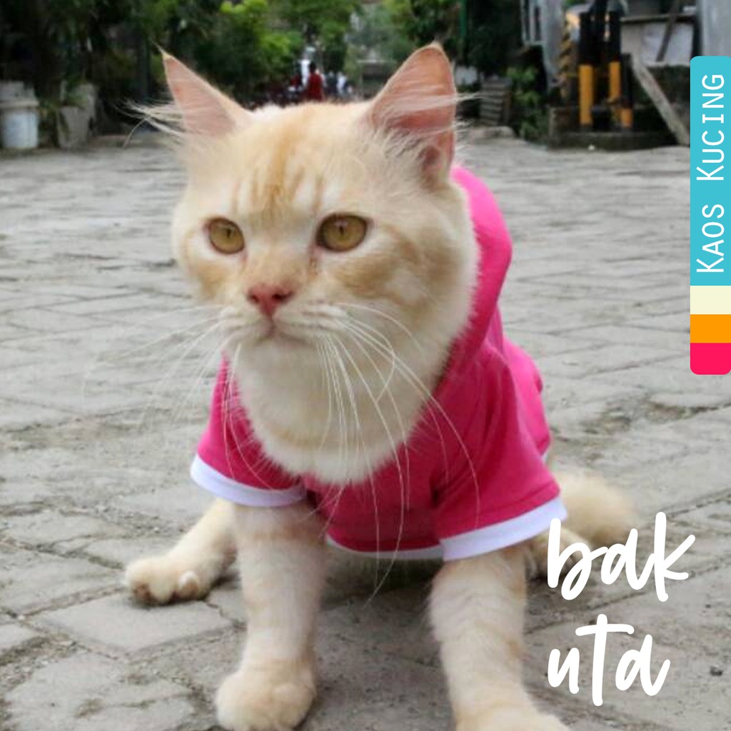 Kaos hoodie pink funky imut polosan (non sablon) / kaos kucing anjing / baju kucing size S M L XL