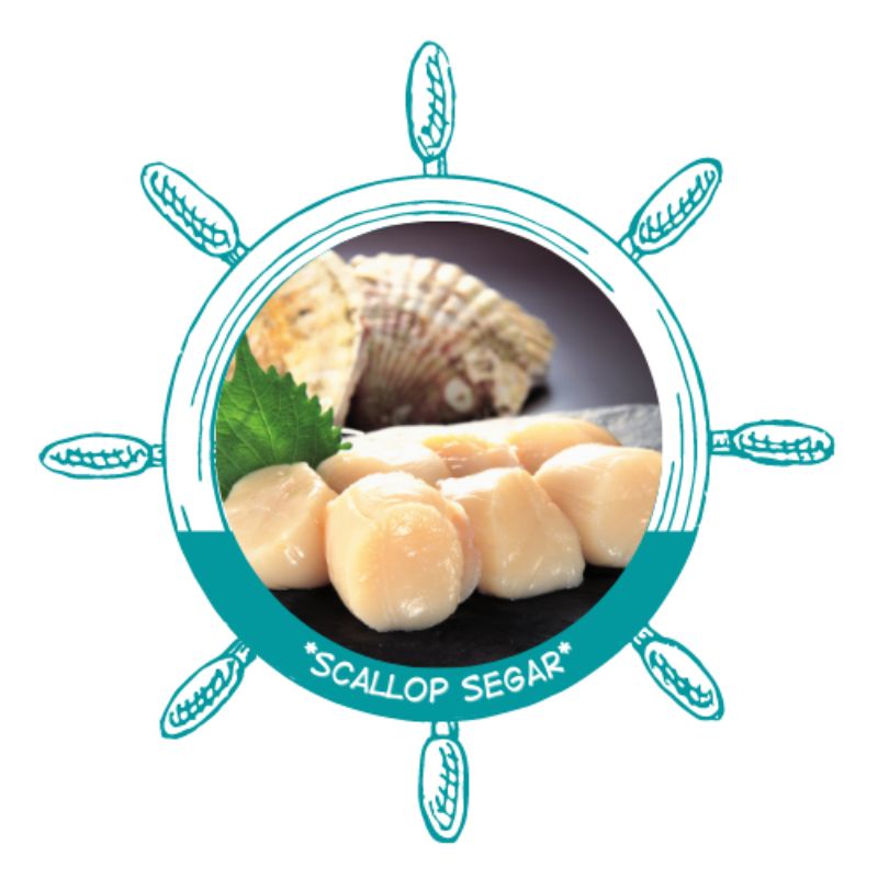 

Kerang kampak/scallop segar