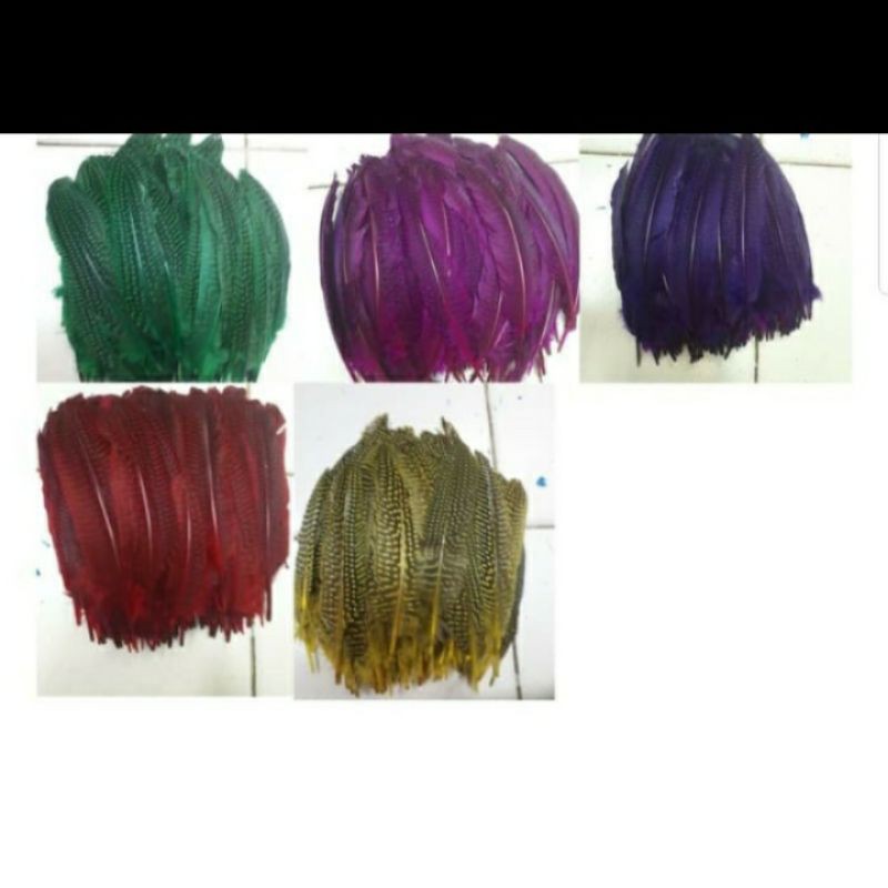 Bulu Ayam Pulpen[6pcs]-Bulu Ayam Dekor