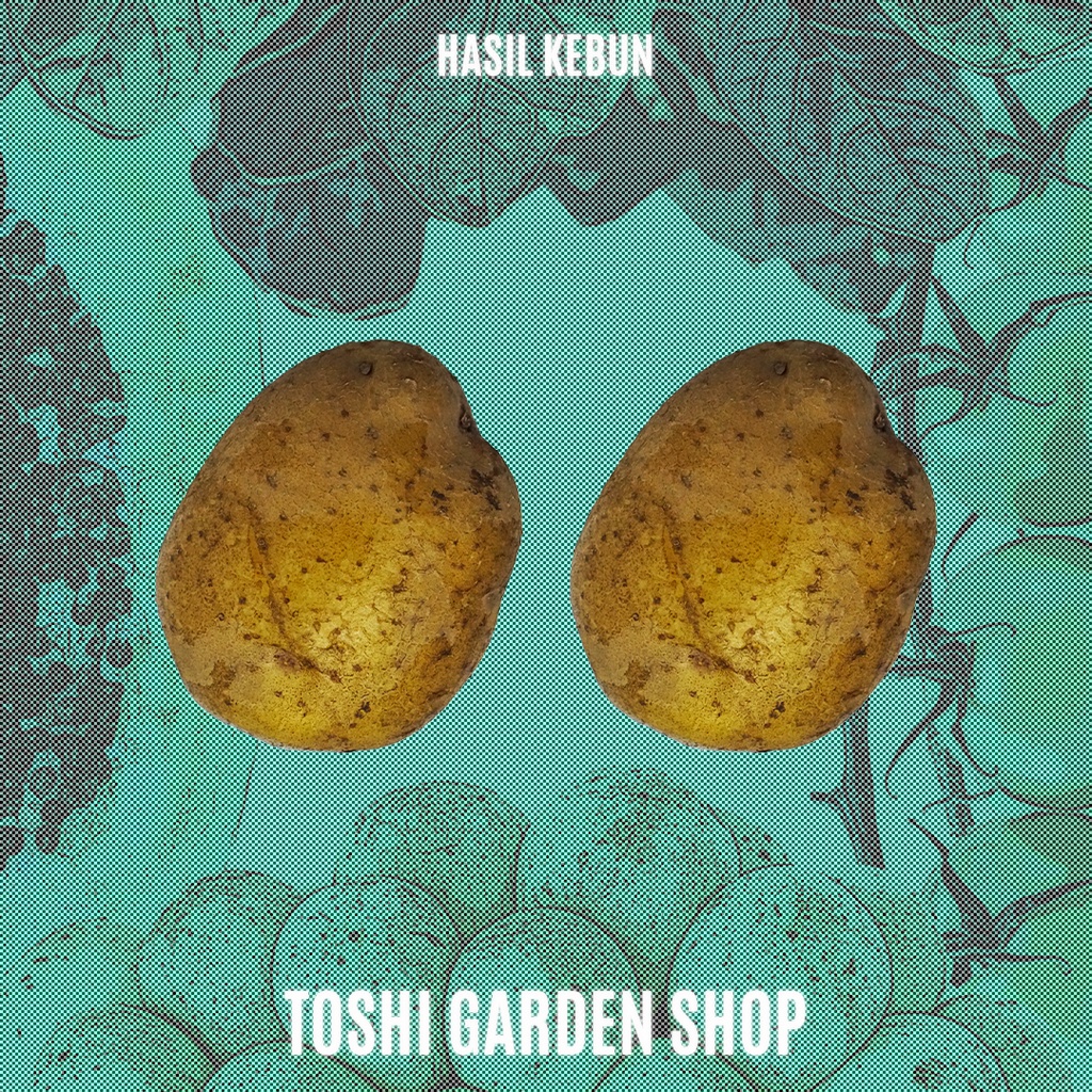 

KENTANG 500 GR (HASIL KEBUN)