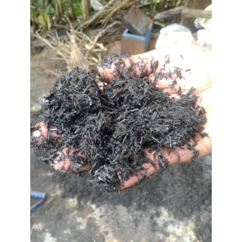 sekam padi bakar