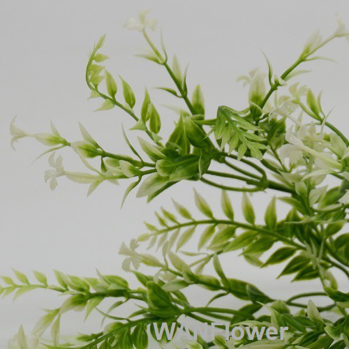 WANFLOWER Daun X5 * ALL