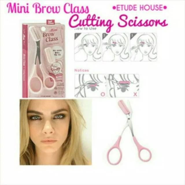 BROW CLASS GUNTING ALIS