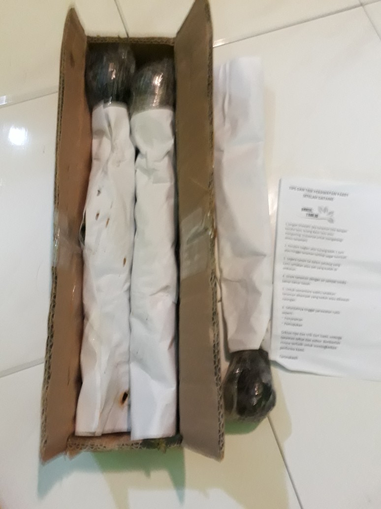 Tanaman Hias Daun Hypoestes Polkadot ~ Tanaman Hipotes Satuan Bebas Pilih Warna