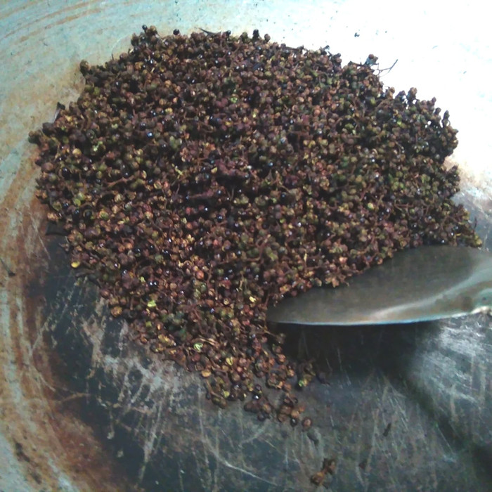 

Roxx.ea - .ea - .ea - Andaliman Kering