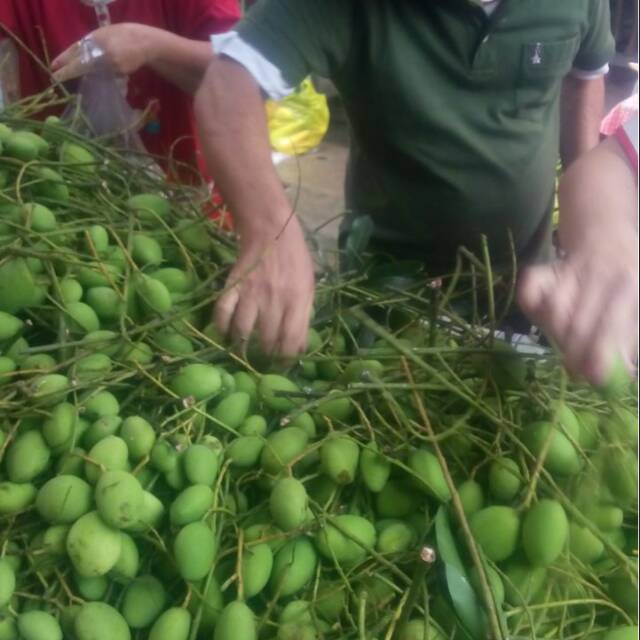 

Buah Pelem Homemade Pedas Atau Manis Murah