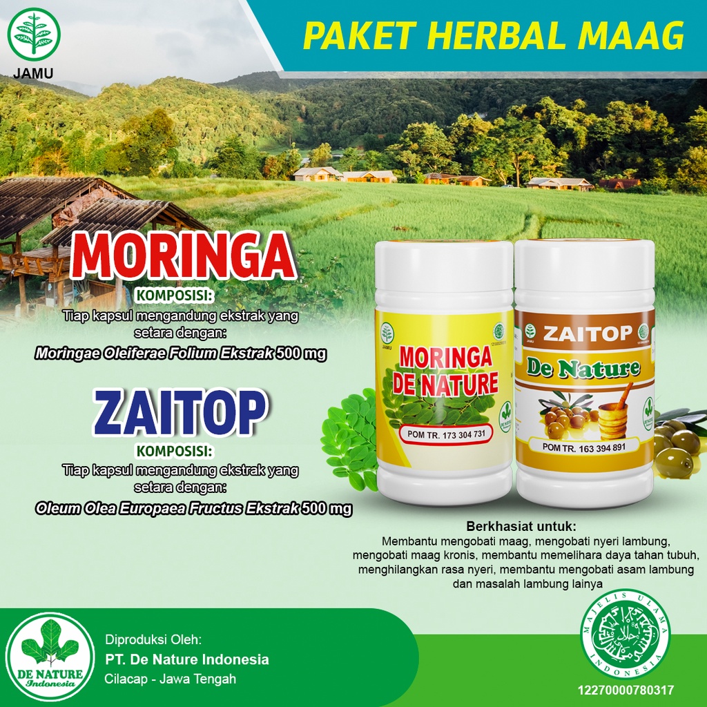 Alternatif Obat Herbal Asam Lambung Nyeri Lambung - Obat Herbal Tukak Lambung (Maag) - Obat Magh - O