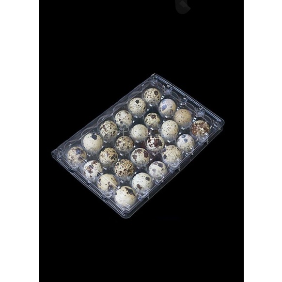 

telur puyuh mentah /pack 25 pcs