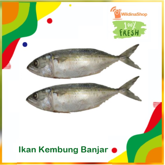 

Ikan Kembung Banjar Segar [ 1 kg ]