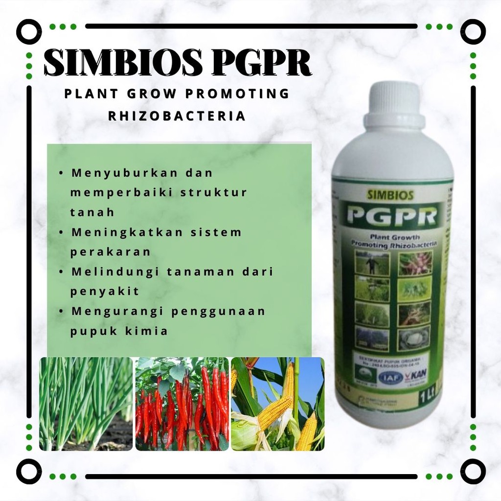 Pupuk Untuk Akar Tanaman Pupuk PGPR (1 Liter)