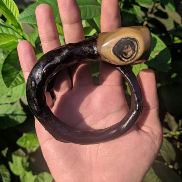 Akar Bahar Hitam Bonggol/Berbatu Alami Size Jumbo