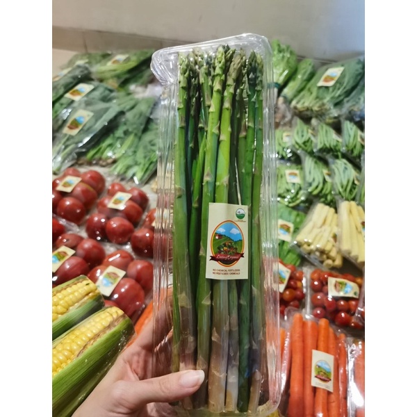 

Asparagus 250 gram sayuran organik