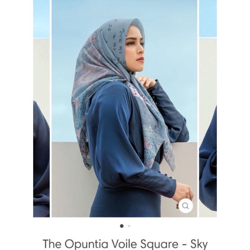 Buttonscraves opuntia sky