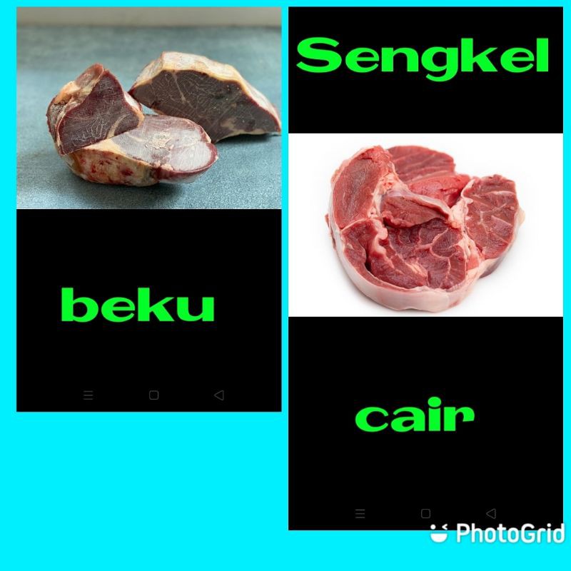 

Sengkel Sapi Grassfed
