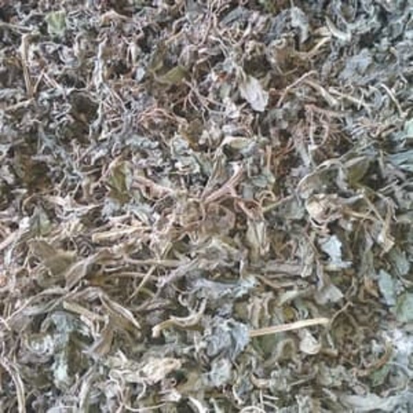

Daun Ngokilo Kering