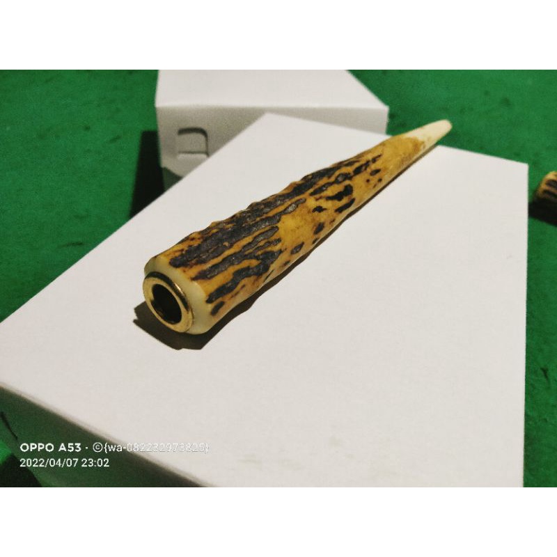 once tanduk rusa original