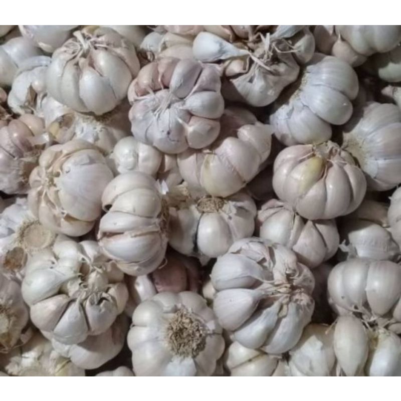 

bawang putih banci 1/2kg