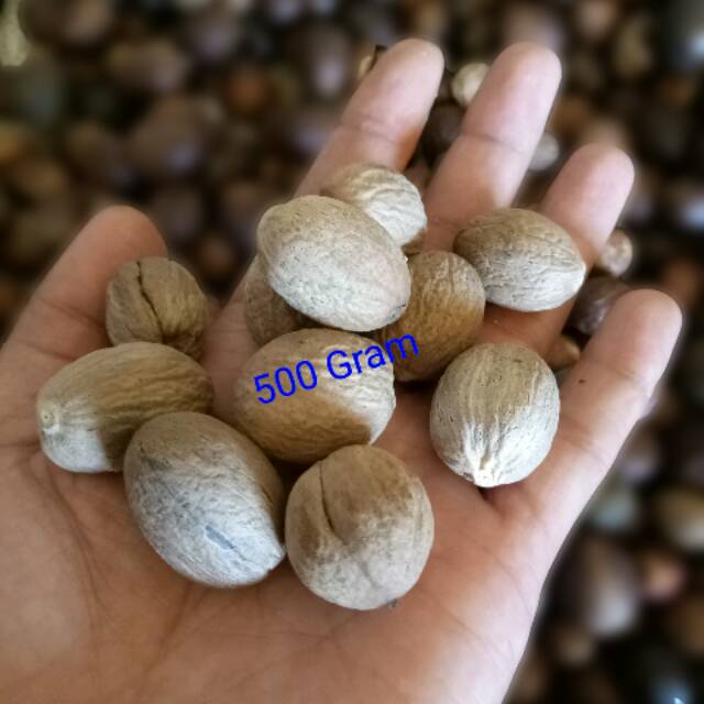 

KUKURING BIJI PALA KUPAS 500 GRAM SUPER
