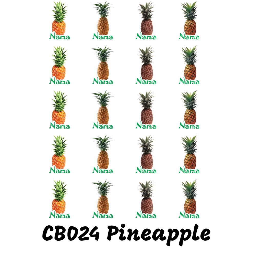 

Sticker Nama Cutting Label Waterproof Tahan Air Pineapple (CB024)