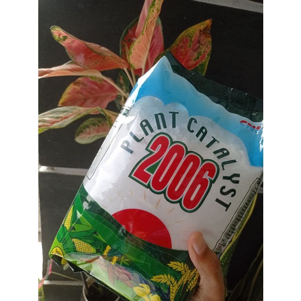 Plant Catalyst 2006 CNI
