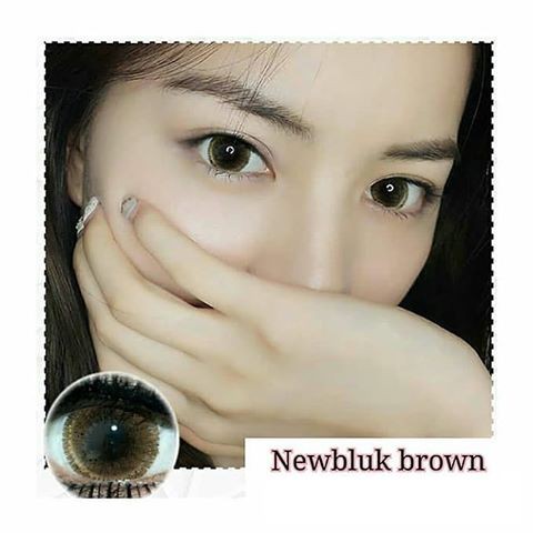 SOFTLENS MINUS NEWBLUK 15MM BROWN (-6.00) GRATIS TEMPAT SOFLEN