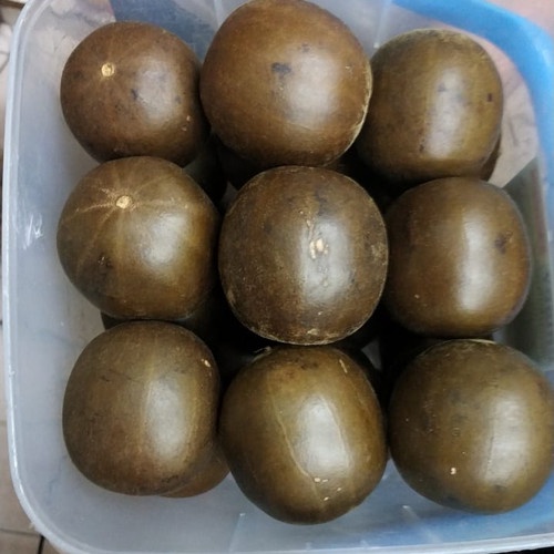 BUAH LOHANKUO LO HAN KUO PER BIJI