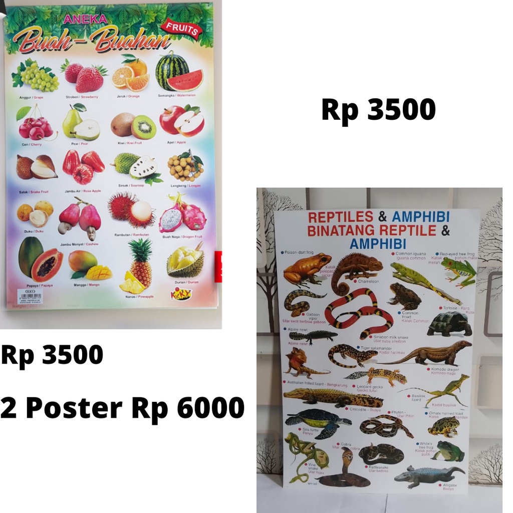 

Poster Aneka Buah-buah an & Poster Binatang Reptile & Amphibi