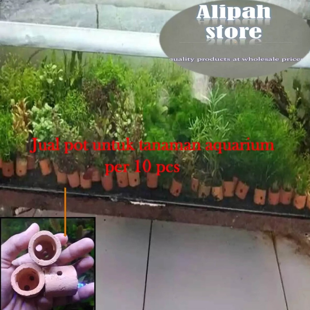 pot kecil isi 10pcs untuk pohon aquarium dan ipukan benih
