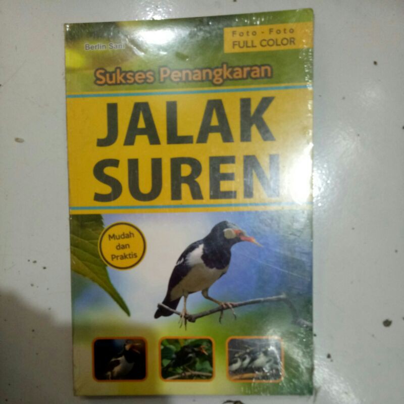 jalak suren