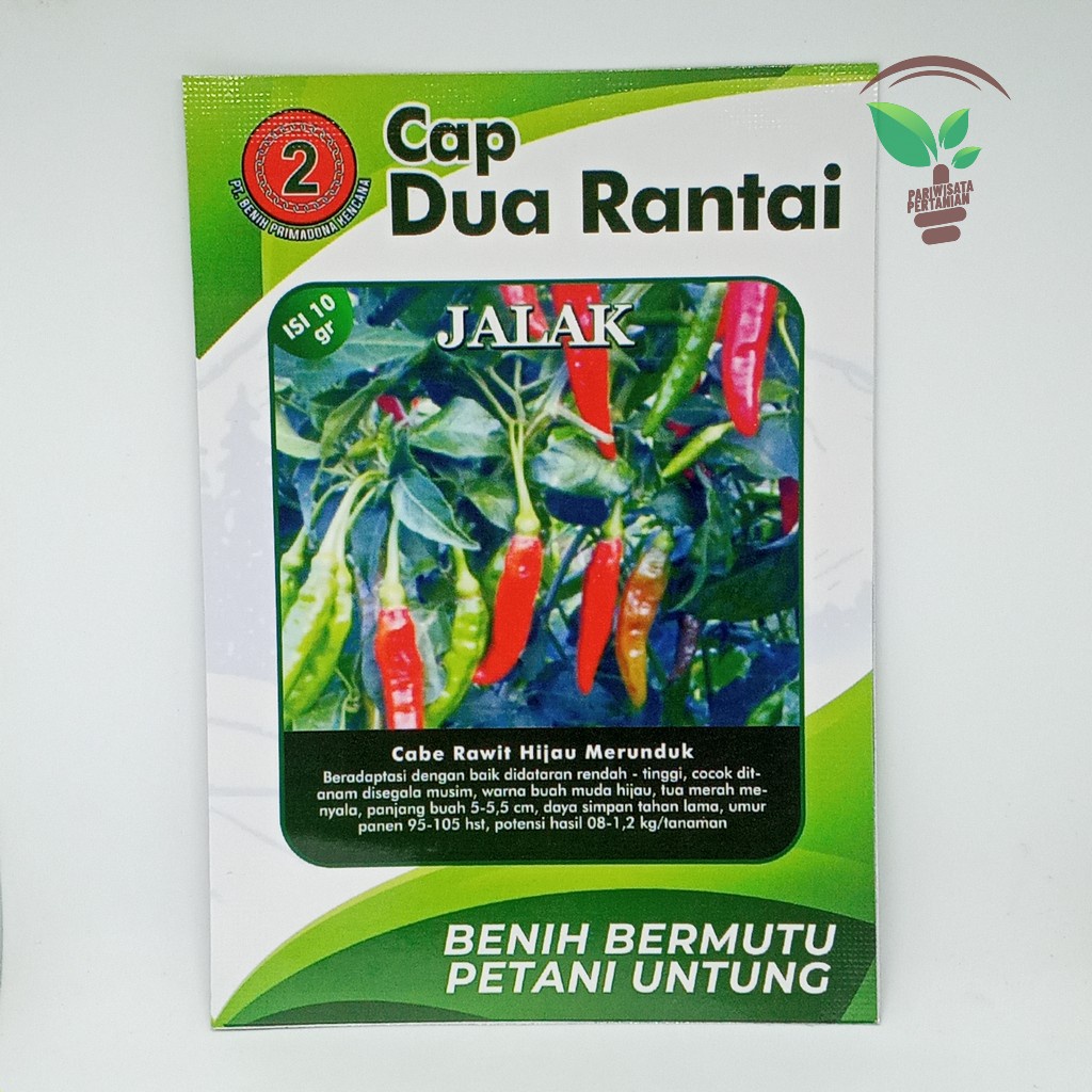 Benih Cabe Jalak Cabe Rawit Hijau Merunduk 10gr